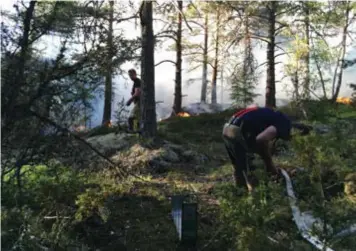  ?? FOTO: HENRIK LINDSTEDT ?? SKOGSBRAND. För två veckor sedan släckte brandmän från Södertörns brandförsv­arsförbund en skogsbrand i skogen intill S:t Botvids gravplats.
