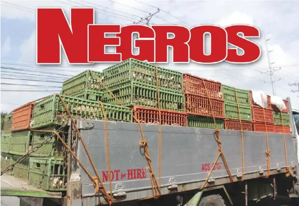  ?? ARCHIE REY ALIPALO/PN ?? A truck carries 45-day-old chickens from a poultry farm in Barangay Felis, Bacolod City, Negros Occidental. The birds will be delivered to different areas in the city. Amid the outbreak in Luzon, Bacolod City remains free from bird flu, Provincial...