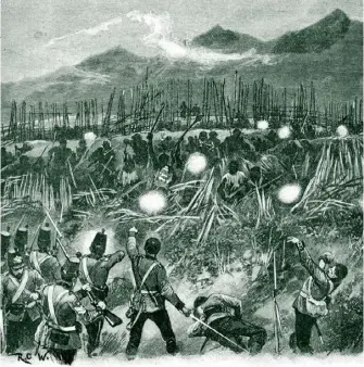  ??  ?? An artist’s depiction of the six-month-long Tauranga Campaign, which was fought in early 1864 as part of the New Zealand Wars.
