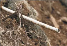  ?? Photos by Paul Chinn / The Chronicle ?? Right: Plastic pipe at the site of Dippel’s home. Heat from the fire melted pipes and leeched chemicals into the main water line.