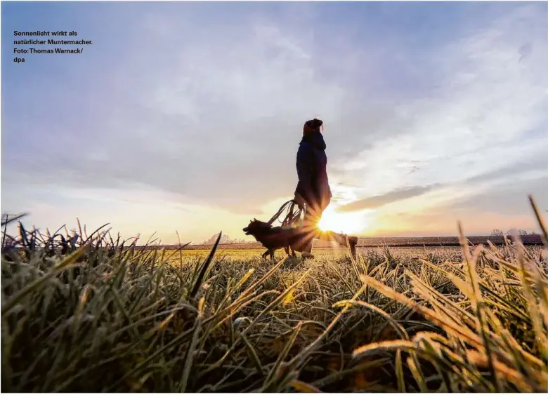  ?? ?? Sonnenlich­t wirkt als natürliche­r Muntermach­er. Foto: Thomas Warnack/ dpa