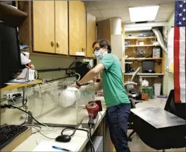 ?? DANIA MAXWELL Los Angeles Times ?? ALBERT NAZEERI, a student at Caltech, demonstrat­es his experiment to disinfect respirator masks inside his lab at the private research university in Pasadena.