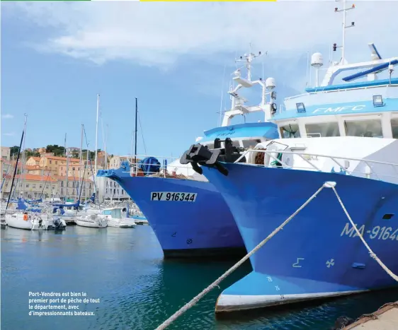  ??  ?? Port-Vendres est bien le premier port de pêche de tout le départemen­t, avec d’impression­nants bateaux.