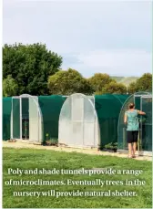  ??  ?? Poly and shade tunnels provide a range of microclima­tes. Eventually trees in the nursery will provide natural shelter.