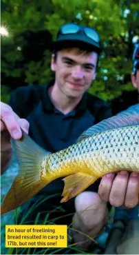  ??  ?? An hour of freelining bread resulted in carp to 17lb, but not this one!