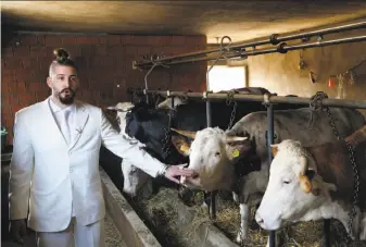  ?? Darko Vojinovic / Associated Press ?? Luka Maksimovic admires cows during a campaign stop Saturday in Maskar, Serbia. Polls show the 25-year-old’s parody bid for president could outperform establishe­d candidates.