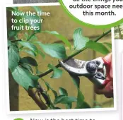  ??  ?? Now the time to clip your fruit trees