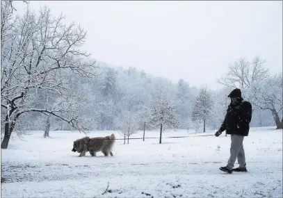  ?? Erica Yoon ?? The Associated Press Skylar, a German shepherd-chow mix, walks in the snow Monday at Fishburn Park in Roanoke, Va., with her owner, Mark Jones.