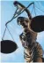  ?? FOTO: DPA ?? Statue der Justitia.