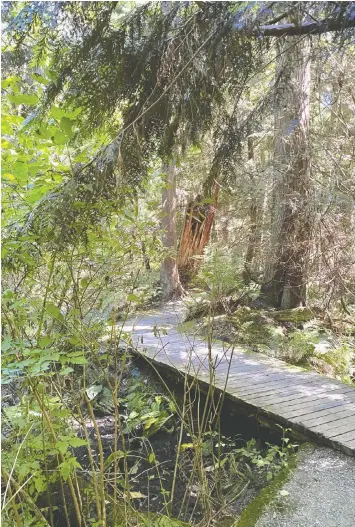  ?? ?? The town of Gibsons has designated an area as an Indigenous Healing Forest, the first in British Columbia but one of about 10 across Canada. The healing forest is aimed at providing a welcoming green space for both Indigenous and non-Indigenous people.