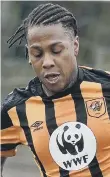  ??  ?? Hull scorer Abel Hernandez.