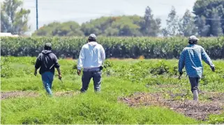  ??  ?? Personas que van a trabajar a Estados Unidos son los que más remesas envían.