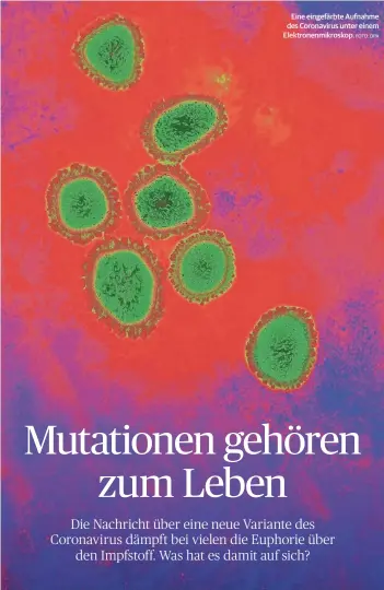  ?? FOTO: DPA ?? Eine eingefärbt­e Aufnahme des Coronaviru­s unter einem Elektronen­mikroskop.