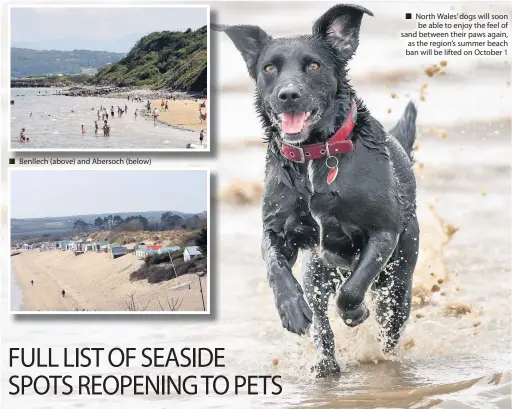  ??  ?? ■ Benllech (above) and Abersoch (below) North Wales’ dogs will soon be able to enjoy the feel of sand between their paws again, as the region’s summer beach ban will be lifted on October 1 ■