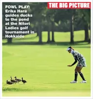  ??  ?? FOWL PLAY: Erika Hara guides ducks to the pond at the Nitori Ladies golf tournament in Hokkaido