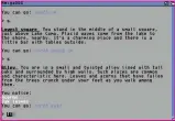  ?? ?? Below: The game runs exceptiona­lly smooth via AmigaDOS