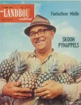  ??  ?? 11 Junie 1968 Mnr. J.D. Krige van die plaas Woodford, tussen Grahamstad en Port Elizabeth, trek papierrokk­ies aan 250 000 pynappels om hulle teen sonbrand te beskerm. Om siektevrye pynappels te kweek, moet landerye ook baie skoon gehou word.