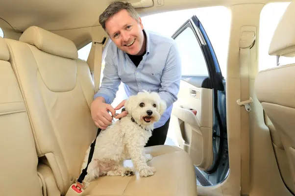  ?? Picture: GERRY MOONEY ?? Buckle up: Luke Griffin pictured with his dog Alfie and the safety belt for dogs he uses while on the move.