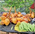  ??  ?? “King coconut “close to nine arch bridge, Demodara
Pic by Nethmi Hasara
Canon Powershot A2500