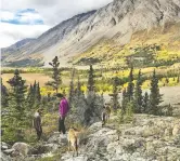  ??  ?? Kluane National Park offers many hiking trails.