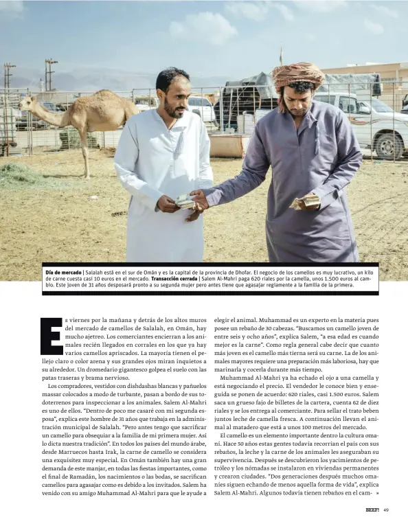  ??  ?? Día de mercado | Salalah está en el sur de Omán y es la capital de la provincia de Dhofar. El negocio de los camellos es muy lucrativo, un kilo de carne cuesta casi 10 euros en el mercado. Transacció­n cerrada | Salem Al-Mahri paga 620 riales por la camella, unos 1.500 euros al cambio. Este joven de 31 años desposará pronto a su segunda mujer pero antes tiene que agasajar regiamente a la familia de la primera.