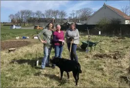  ?? ?? Cochairper­sons of Friends of Winterfiel­d Sue Anderson and Esther Hughes, and the wildlife garden designer Judy Miller, were among those busy at the Dunbar park