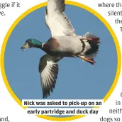  ??  ?? Nick was asked to pick-up on an
early partridge and duck day