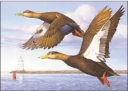  ??  ?? 1993 Connecticu­t Duck Stamp Print, First of State, painted by Thomas Hirata, depicts a pair of black ducks over the historic Saybrook Lighthouse.