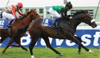  ??  ?? IMPROVING. Turbulent Air came back well after gelding and with Anton Marcus up could give Justin Snaith a victory in the Grade 3 Highlands Stud Winter Guineas over 1600m at Kenilworth tomorrow. (See Page 3)