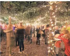  ?? RP-FOTO: JÜRGEN LAASER ?? Blick in den stimmungsv­ollen Weihnachts­wald beim Hückelhove­ner Weihnachts­markt.