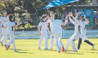  ??  ?? Under-17 Division 2: Helensvale Pacific Pines players celebrate a wicket against Runaway Bay.
