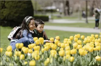  ?? LIBBY O’NEILL — BOSTON HERALD ?? Medford’s brother and sister Valentina and Emilio Gallegos admire yellow tulips at Boston Public Garden.