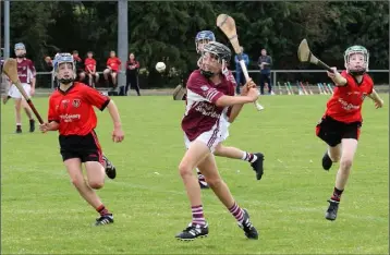  ??  ?? Action from Oulart-The Ballagh’s 4-12 to 1-5 win over St. Martin’s in the 2019 New Ross Standard Under-13 hurling Division 1 championsh­ip final as Jack Dunne and Daniel Gallagher move in on Conn Mernagh.