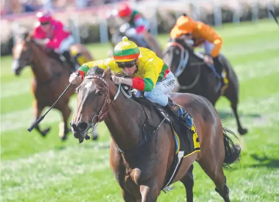  ?? Picture: JULIAN SMITH ?? Lucky Hussler ridden by Blake Shinn gallops to victory at Moonee Valley last year. The sprinter is expected to line up at Ipswich on Saturday.
