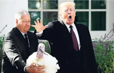  ?? AP ?? President Donald Trump gives ‘Peas’, a national Thanksgivi­ng turkey, a pardon during a ceremony in the Rose Garden of the White House in Washington, yesterday, as Jeff Sveen, chairman of the National Turkey Federation, watches.