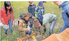  ?? RP-ARCHIV: F.-H. BUSCH ?? Auf dem Nabu-Naturschut­zhof Nettetal gibt es viel zu entdecken. Die Kinder erfahren Wissenswer­tes, bewegen sich aber auch viel.