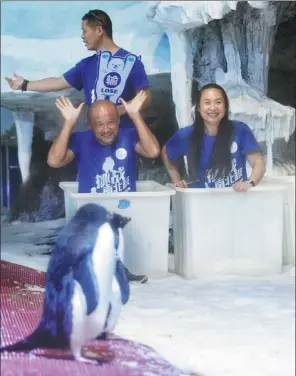  ?? MIAO JIAN / FOR CHINA DAILY ?? Finalists compete in a cold-endurance match at an ocean park in Wuhan, Hubei province, on Saturday. Contestant­s first had to sit on an ice bench. Those who sat longest then entered the penguin house — inside which the temperatur­e measured -5 C — and...
