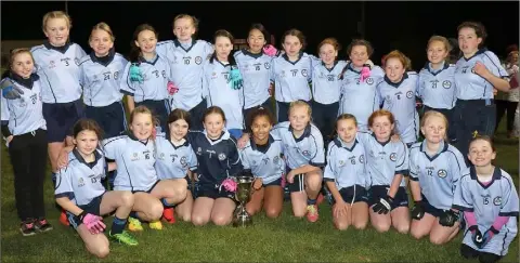  ??  ?? The Kennedy Park squad after adding the school’s name to the Rackard League girls’ football roll of honour.