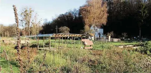  ?? Foto: Arlette Schmit ?? Der Gemeinscha­ftsgarten in Ettelbrück hat nach der letzten Überschwem­mung im CNFPC einen neuen Pächter gefunden.