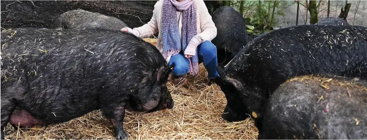  ?? Picture: BRUCE ADAMS ?? Piggery jokery: They’re not micro now, says Kathryn Knight