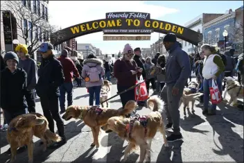  ?? ANDY CROSS — THE DENVER POST ?? A trio of Golden retrievers and their humans head to the Goldens in Golden event in downtown Golden on Feb. 5, 2022. Visit Golden along with Golden Retriever Rescue of the Rockies, hosted hundreds of Golden retrievers and their humans and treated them to free pup cups, pup portraits, a selfie station, and give-away doggie bags from the Goldenbase­d KONG company. The event ended with a huge group photo on Washington Ave near the famous “Welcome to Golden” arch.