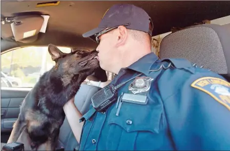  ?? TIM MARTIN/THE DAY ?? New London police K-9 Officer Chris Bunkley with his new 20-month-old German shepherd, Rocky, at the New London police station Friday.