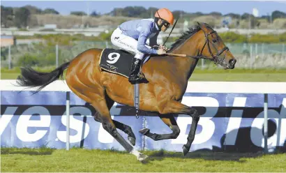  ?? Picture: Wayne Marks ?? TREBLE. The Justin Snaith-Richard Fourie combinatio­n scored another treble on Saturday, including winning the main race at Kenilworth with Angel’s Trumpet.
