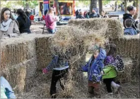  ?? DIGITAL FIRST MEDIA FILE PHOTO ?? Kids play in the hay at the Turning Leaf Fall Festival held at Boyertown Park.