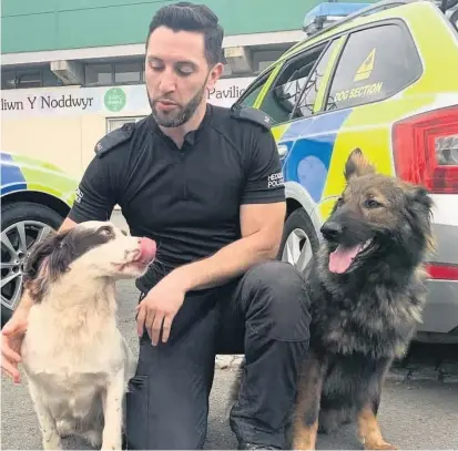  ??  ?? Monty and Rula with handler PC Ryan Llewellyn. The Dyfed-Powys Police dog section is moving to a former helicopter base