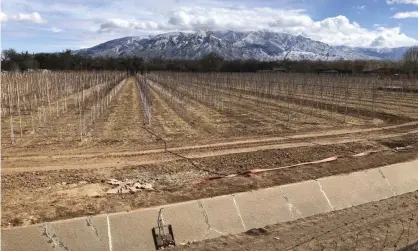  ??  ?? An empty irrigation canal at a tree farm in Corrales, New Mexico. Forty percent of the US west of the continenta­l divide classed as being in ‘exceptiona­l drought’, the most severe of four levels of drought. Photograph: Susan Montoya Bryan/AP