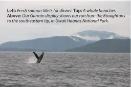  ??  ?? Left: Fresh salmon fillets for dinner. Top: A whale breaches. Above: Our Garmin display shows our run from the Broughtons to the southeaste­rn tip, in Gwaii Haanas National Park.