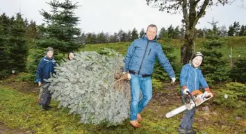  ?? Foto: Jürgen Gabel ?? Immer mehr Familien suchen sich den Weihnachts­baum im Wald aus und legen dann – ausgestatt­et mit entspreche­nder Ausrüs‰ tung natürlich – selbst Hand an.