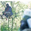  ?? FOTO: DPA ?? Ein Aktivist hockt im Hambacher Forst auf einer Seilbrücke.