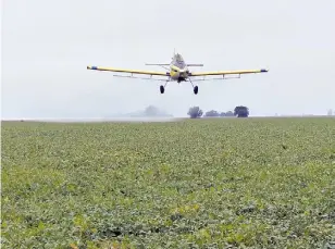  ??  ?? Cuidados. A la izq., en la localidad de Godoy la normativa para las zonas periurbana­s exige la aplicación de productos “banda verde”, que son los de menor toxicidad. A la der., el equipo necesario para cargar productos.